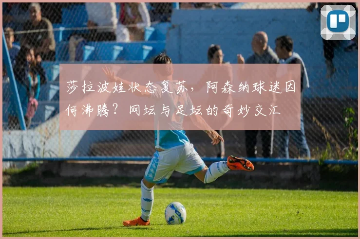 莎拉波娃状态复苏，阿森纳球迷因何沸腾？网坛与足坛的奇妙交汇